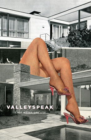 Valleyspeak a Zone 3 Press Book by Cait Weiss Orcutt